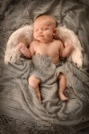 deti_foto_babyphoto_newborn_photo_baby_foto_zlevorova_tehotenstvi_tyden_po_tydnu_foto 